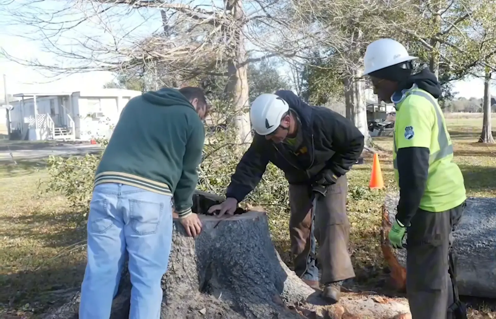 Veteran Tree Care crew assessing a large storm-damaged oak