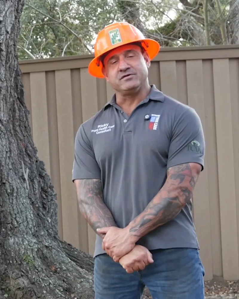 Ricky Folse in a hard hat beside a live oak