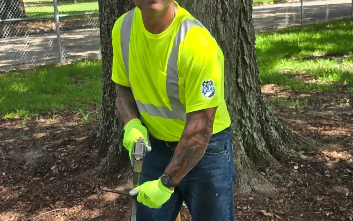 Veteran Tree Care crew member using an air spade at the root flare of a large oak